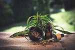 Ou trouver du CBD en ligne ?