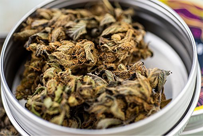Quelle fleur de CBD choisir ?