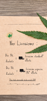 Mister Flower CBD